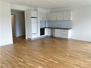 Photo 4. Apartment, Sveistrups Have, Vejen 