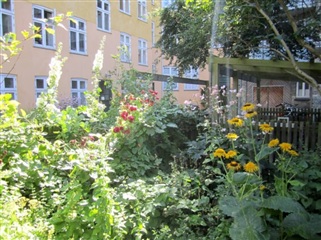 Photo 7. Room, Wesselsgade, København N 