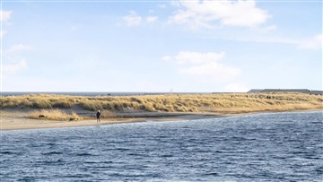 Billede 32. Lejlighed, Strandlodsvej, København S 