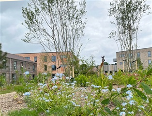 Billede 6. Hus/villa, Guldsmedestien, Nivå 