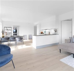 Photo 1. Apartment, Rantzausbakke, Horsens 