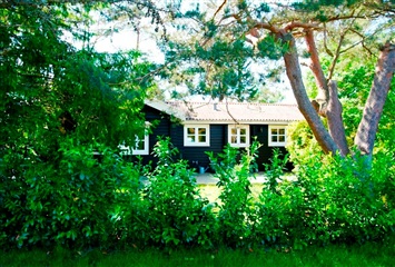 Photo 12. House, Torn-Åsen, Græsted 