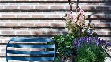 Photo 11. House, Højbjergvej, Espergærde