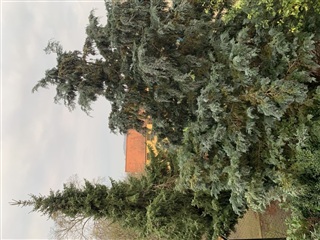 Photo 25. Apartment, Smedegade, Horsens 