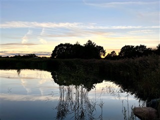 Photo 9. Room, Krogdalen, Ballerup