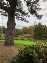 Billede 5. Værelse, Vejlesøvej, Holte 