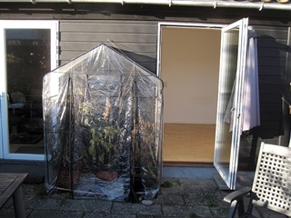 Photo 7. Room, Oldbuen, Albertslund 