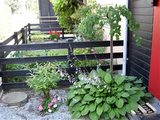 Photo 6. Room, Oldbuen, Albertslund 