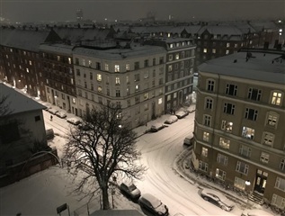 Billede 2. Værelse, Nyborggade, København Ø 