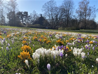 Photo 9. Apartment, Frederiksborgvej, Roskilde 