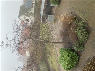 Photo 15. Apartment, Nygade, Horsens 