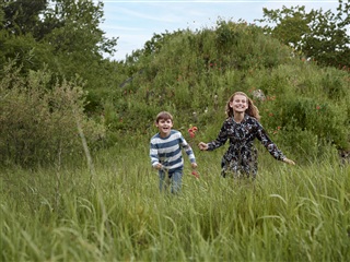 Photo 2. Apartment, Triumphbuen, Espergærde 