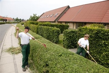 Photo 4. Apartment, Sybergs Have, Kerteminde 
