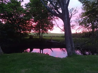 Billede 6. Hus/villa, Bjørnskovvej, Agerskov 