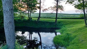 Billede 5. Hus/villa, Bjørnskovvej, Agerskov 