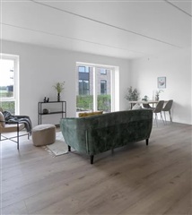 Billede 21. Lejlighed, Hedvig Billes Top, Horsens 