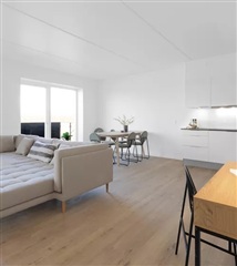 Billede 27. Lejlighed, Hedvig Billes Top, Horsens 