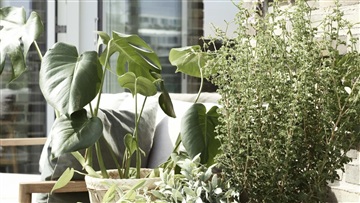 Billede 3. Lejlighed, Else Alfelts Vej, København S 