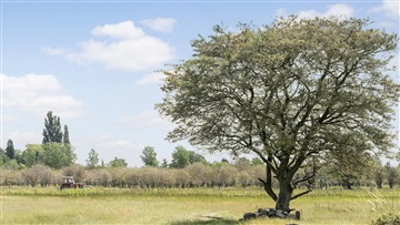 Photo 18. Apartment, Robert Jacobsens Vej, København S 