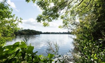 Billede 8. Lejlighed, Bygården, Brønshøj 