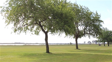 Photo 14. Apartment, Sundby Parkvej, København S 