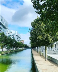 Billede 11. Værelse, Else Alfelts Vej, København S 