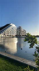 Billede 10. Værelse, Else Alfelts Vej, København S 