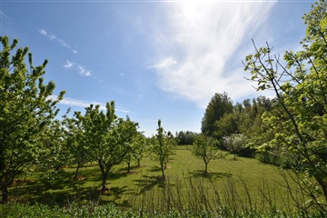 Photo 9. House, Engvej, Erslev 