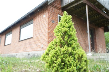 Photo 1. House, Vestergade, Frøstrup 