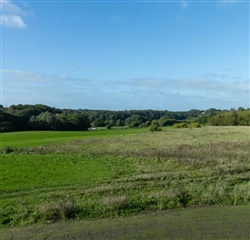 Photo 10. Apartment, Rantzausbakke, Horsens 