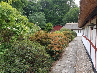 Photo 24. Apartment, Slagelsevej, Jyderup 