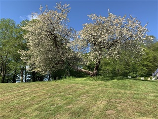 Photo 6. Apartment, Sanatorievej, Stouby 