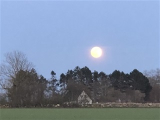 Photo 6. House, Ørnfeldtvej, Kerteminde 