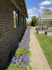 Photo 17. House, Teglbakken, Højbjerg 