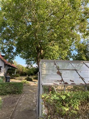 Photo 3. House, Jersie Strandvej, Solrød Strand 