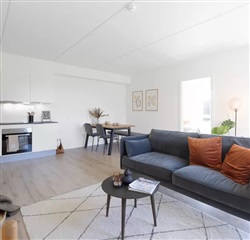 Photo 1. Apartment, Rantzausbakke, Horsens 