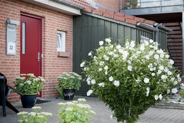 Billede 3. Lejlighed, Korevej, Aalborg SØ 