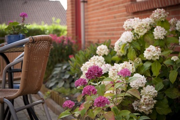 Billede 5. Lejlighed, Korevej, Aalborg SØ 