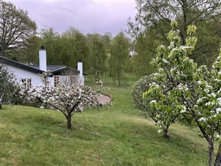 Photo 7. Apartment, Dronningens Kovang, Fredensborg 