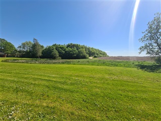 Billede 8. Hus/villa, Rougsøvej, Ørsted 