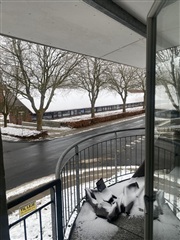 Photo 15. Apartment, Kløvervej, Ringe 