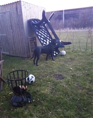 Photo 6. Room, Hvidkløvervænget, Vallensbæk 