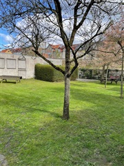 Photo 12. Apartment, Valdemarsgade, Aalborg 