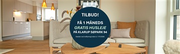 Photo 1. House, Klarup Søpark, Klarup 