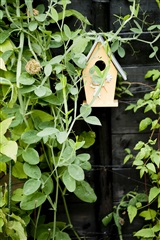 Billede 4. Lejlighed, Diskovej, Aalborg SØ 