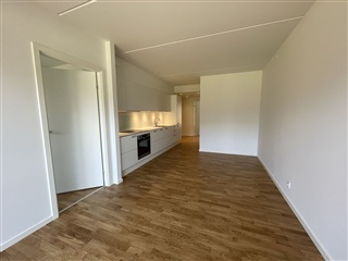 Photo 1. Apartment, Gartnerbyen, Odense V 