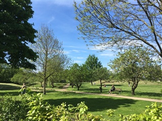 Photo 16. Apartment, Schleppegrellsgade, Aalborg 