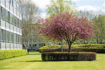 Photo 2. Apartment, Holmparken, Herning 