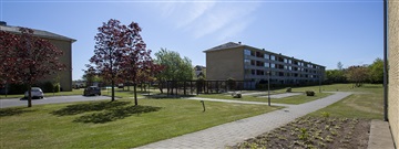 Photo 4. Apartment, Bangsbovej, Frederikshavn 