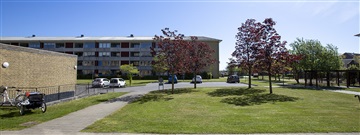 Photo 3. Apartment, Bangsbovej, Frederikshavn 